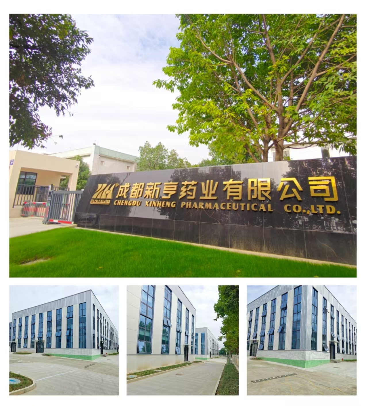 ������������ĳ���