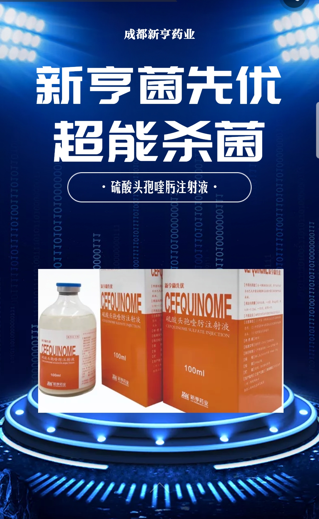 ���ʻ����º������