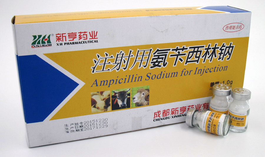 �º������-1.0gע���ð���������