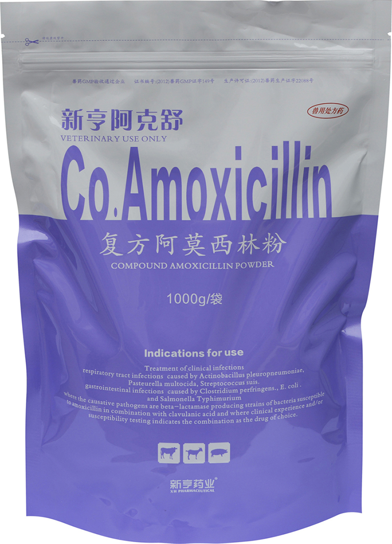 �ºఢ����-������Ī���ַ�